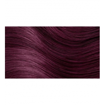 HERBATINT Permanentní barva na vlasy švestka FF3